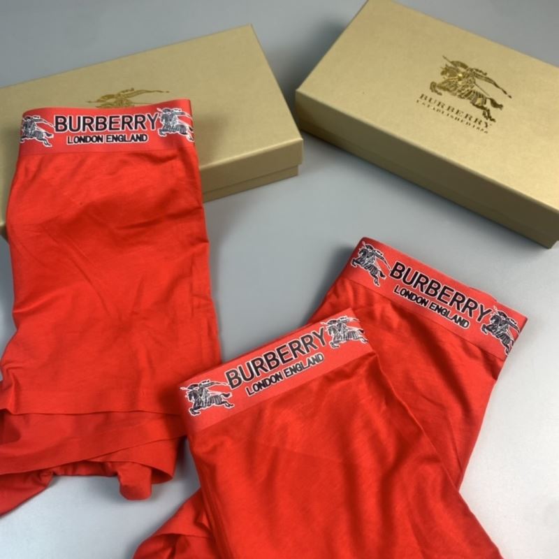 Burberry Panties